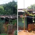 Mãe e filha fogem de cárcere privado após agressor ir ao hospital imagem