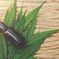 Saiba quando regras para cultivo de cannabis medicinal entram em vigor imagem