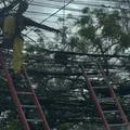 Salvador: técnico de internet sofre choque elétrico durante serviço em poste imagem