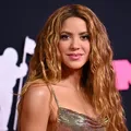 Shakira fará megashow gratuito no Brasil em maio imagem