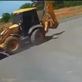 Trabalhador morre após ser atacado por abelhas na Bahia imagem