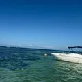 Travessia entre Salvador e Boipeba é ampliada no Verão e Carnaval imagem