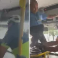 Vídeo mostra briga entre motorista de ônibus e ciclista na Bahia imagem