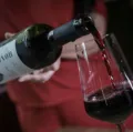 Vinho europeu com preço de nacional? Saiba como tratado histórico vai mexer no seu bolso imagem