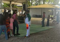 A TARDINHA estreia com festa, brincadeiras e magia para as crianças imagem