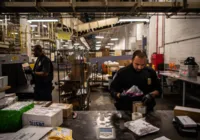 Alerta: sedativo para animais cria crise de abstinência mortal