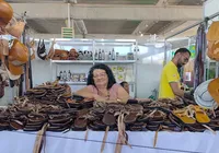 Artesãs compartilham histórias de superação e força na Fenagro imagem