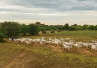Ator da Globo abandona novelas para assumir fazendas da família