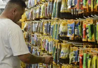 Auxílio de até R$ 320 para material escolar é liberado; saiba quem tem direito imagem