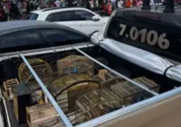 Aves silvestres comercializadas ilegalmente são resgatadas na RMS