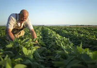 BNB premia agricultores familiares baianos e lança programa inédito de educação rural imagem