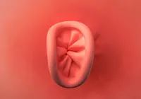 Botox anal? Conheça a técnica que pode aumentar o prazer sexual