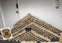 Bunker com cocaína é encontrado em empresa ligada ao tráfico internacional