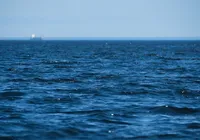 Cabeças humanas são encontradas penduradas em praia turística