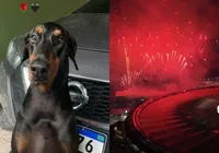 Cachorro de cantor morre durante final da Libertadores: “Ação irresponsável"