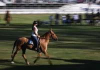 Campo, cidade, Bahia e o mundo: Fenagro