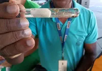 Casos de dengue na Bahia registram queda de mais de 85% em 2025 imagem