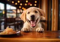 Ceia de Natal pode colocar a vida do seu pet em risco; veja alimentos proibidos imagem