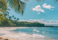 Cidade brasileira proíbe prática de nudismo em praia famosa imagem