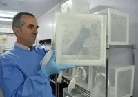 Cientista brasileiro que combate a dengue é destaque mundial em 2025