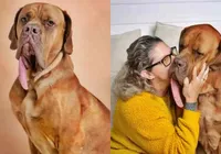 Com maior língua do mundo, cachorro entra para livro dos recordes imagem