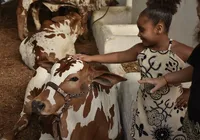 Corre que dá tempo! Fenagro 2025 tem último dia de gratuidade nesta quarta