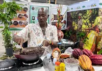 Eis o Nibis, o cacau caminhando para além do chocolate