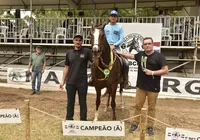 Fenagro 2025: jurados testam marcha e desempenho dos melhores mangalargas do país