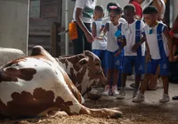 Fenagro revela novos “bichos influencers” que roubam a cena e os cliques