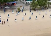 Foragido por tráfico é capturado em praia de São Tomé de Paripe; vídeo imagem