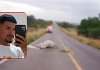 Jovem colide com vaca e morre na BR-324; animal também não resistiu imagem