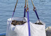 Maior polo do mundo: China transforma o mar em megafazendas