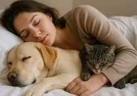 Médicos alertam para risco de infecções ao dormir com cães e gatos imagem
