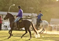 Melhoramento do Nelore e saúde dos equinos dominam programação técnica da Fenagro