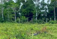 Mulher encontrada morta na BR é identificada pela polícia