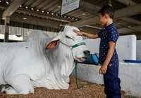 Na Fenagro, a gurizada esbanja  alegria, com brinquedos e animais imagem