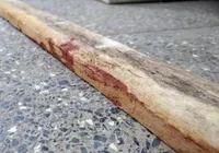 Nova Richthofen? Menina de 14 anos mata a mãe a pauladas com o namorado