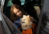 Nova lei proíbe motoristas de aplicativo de recusar cães