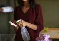 O segredo que elimina o cheiro de fritura e deixa a casa perfumada