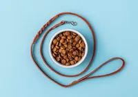 Passeio com cães invisíveis vira tendência; entenda