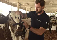 Profissão em alta: como trabalham os veterinários de animais do campo imagem