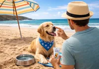 Protetor solar para cães: o item 'estranho' que pode salvar a vida do seu pet no verão