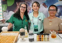 Qual é o melhor mel da Bahia? Concurso revela campeões de 2025 imagem