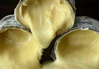 Queijo brasileiro entra na lista de melhores do mundo por revista americana imagem