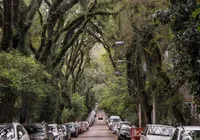 Rua no Brasil supera destinos famosos e vira a mais bonita do mundo