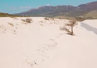 Secretário é investigado por roubo de areia em obra do PAC