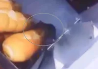 Supermercado é interditado após flagrante de ratos andando em pães