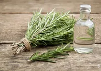 Truque caseiro de alecrim e vinagre promete turbinar a limpeza da casa