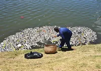 Vídeo: centenas de peixes são encontrados mortos no Dique do Tororó imagem