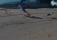Vídeo: idoso morre após ser ‘atropelado’ por cachorro em via pública imagem